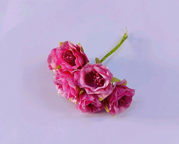 FLOWER  - 6 PCS BUNCH, DELIGHT 24