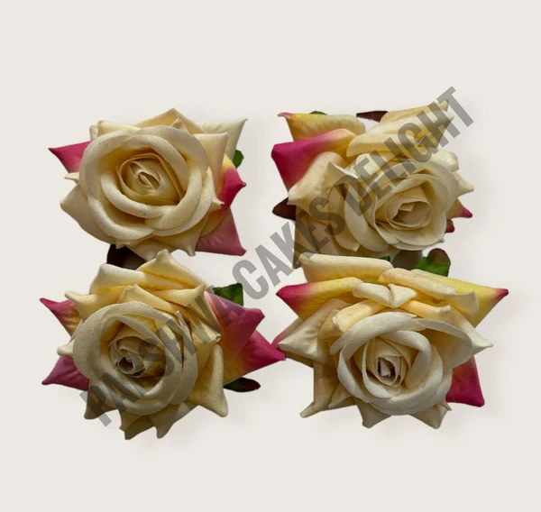 ROSES - DELIGHT 59, 4PCS