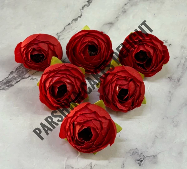 SMALL PEONY  - DELIGHT 144, 6 PCS