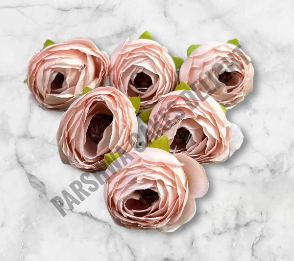 SMALL PEONY  - DELIGHT 148, 6 PCS