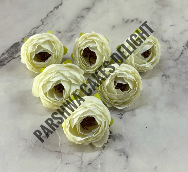 SMALL PEONY  - DELIGHT 155, 6 PCS