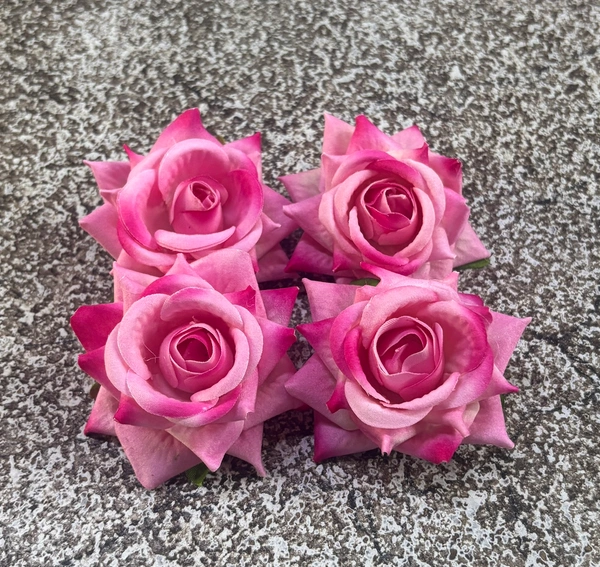 ROSES - DELIGHT 233, 4 PCS PACK