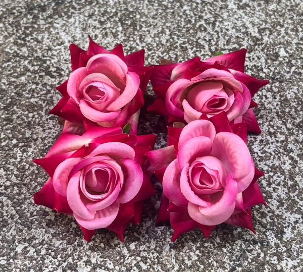 ROSES - DELIGHT 243, 4 PCS