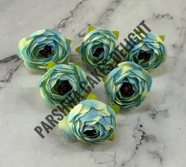 SMALL PEONY  - DELIGHT 251, 6 PCS