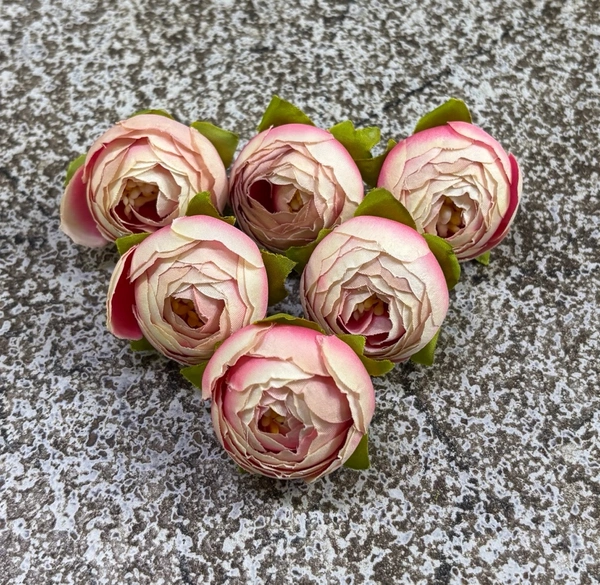 SMALL PEONY  - DELIGHT 255, 6 PCS