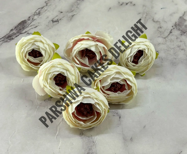 SMALL PEONY  - Delight 364, 6 Pcs Pack