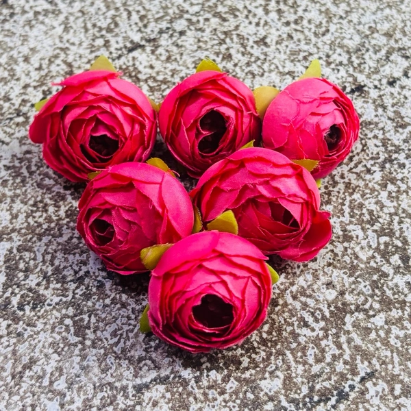 SMALL PEONY  - Delight 364, 6 Pcs Pack