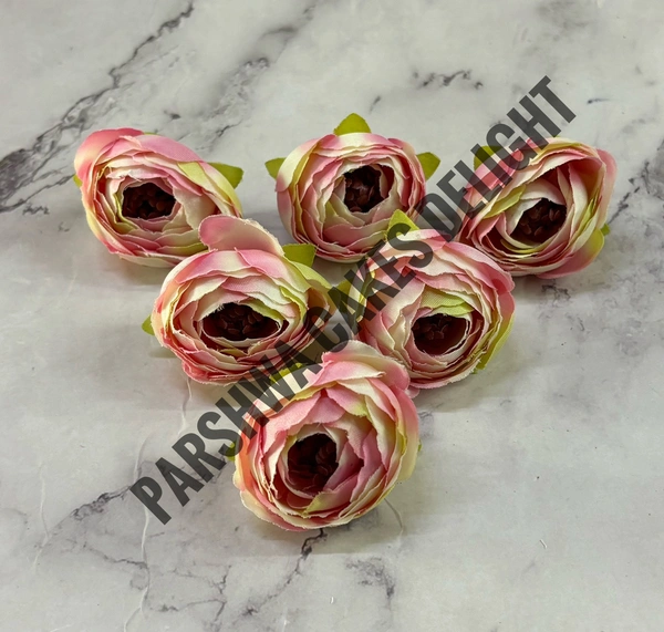 SMALL PEONY  - Delight 365, 6 Pcs Pack