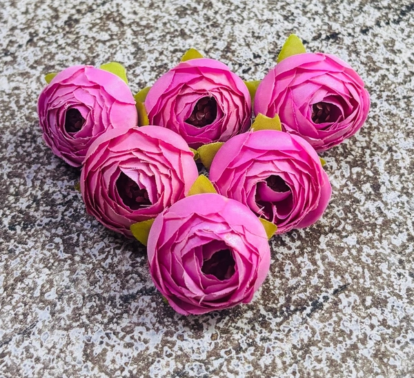SMALL PEONY  - Delight 365, 6 Pcs Pack