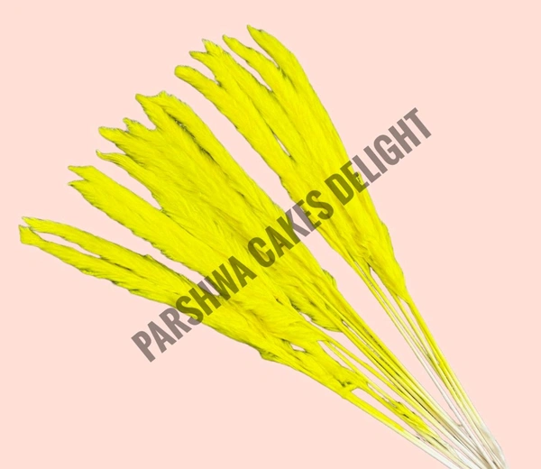 Pampas Grass Stick  - Yellow, 5 Pcs