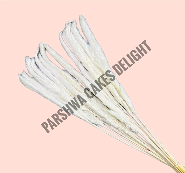 Pampas Grass Stick  - White, 5 Pcs