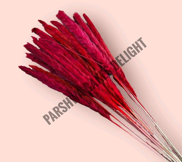 Pampas Grass Stick  - Red, 5 Pcs