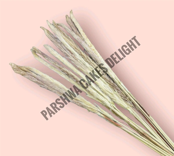 Pampas Grass Stick  - Brown, 5 Pcs