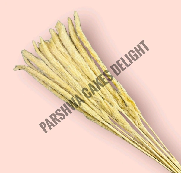 Pampas Grass Stick  - 5 Pcs, Off White