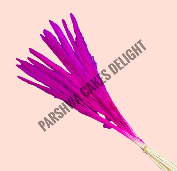 Pampas Grass Stick  - Dark Pink, 5 Pcs