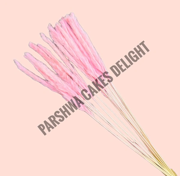 Pampas Grass Stick  - 5 Pcs, Light Pink