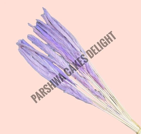 Pampas Grass Stick  - Purple, 5 Pcs