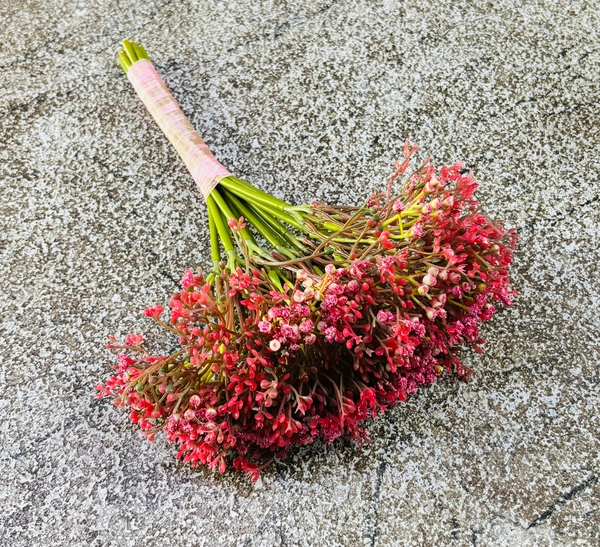 IMPORTED GYPSY BUNCH - Dark Pink