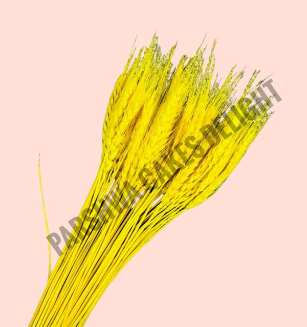 Wheat Grass - Yellow, 10 Pcs Pack