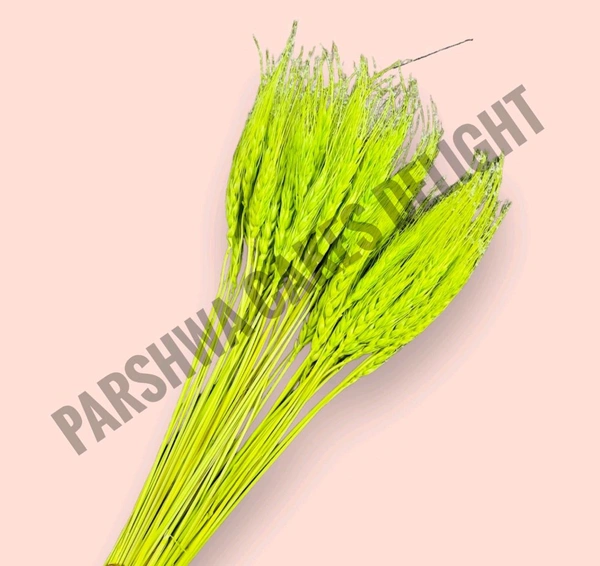 Wheat Grass - Light Green, 10 Pcs Pack