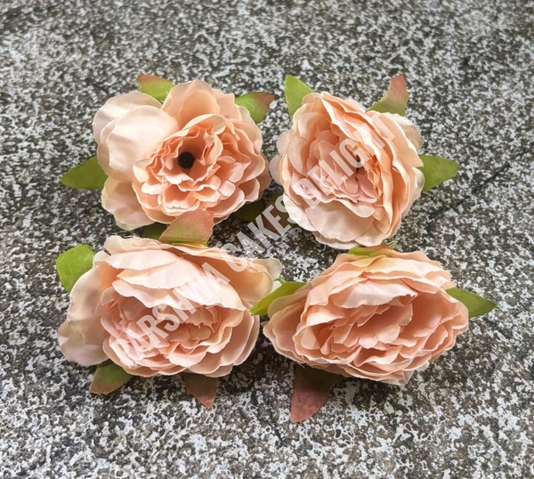 Medium Peony - Delight 12, 4 Pcs Pack