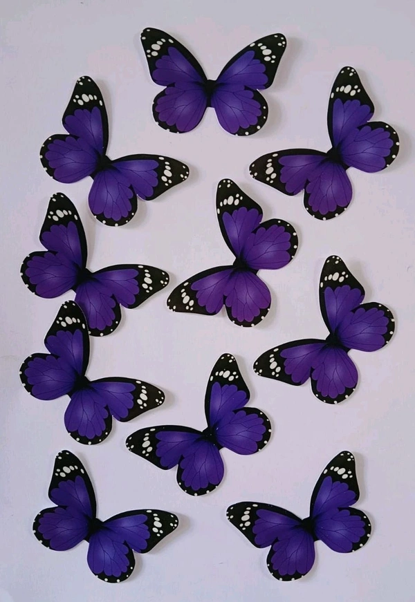 Non Edible Butterfly - Delight 63