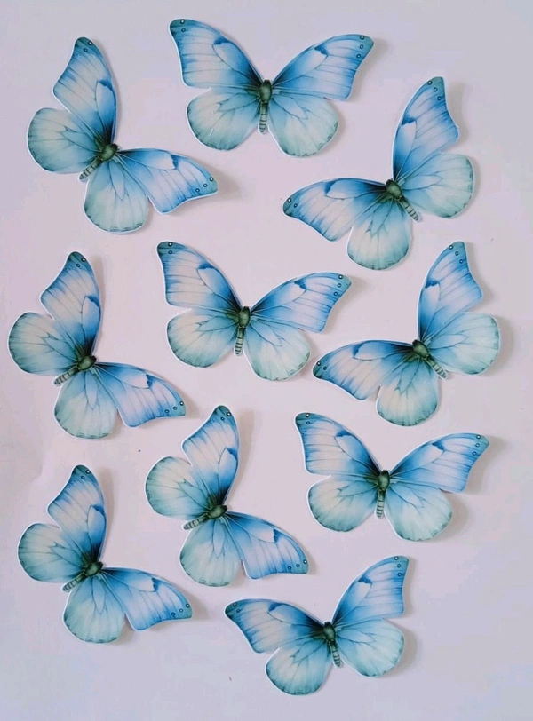 Non Edible Butterfly - Delight 64