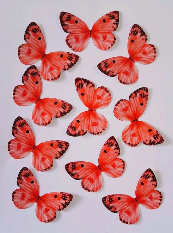 Non Edible Butterfly - Delight 65