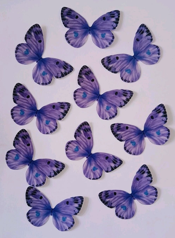 Non Edible Butterfly - Delight 66