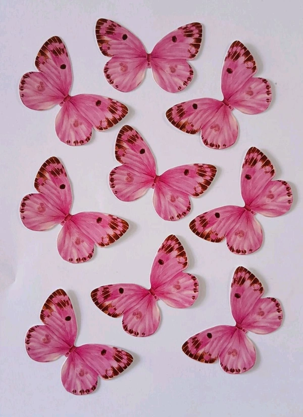 Non Edible Butterfly - Delight 68