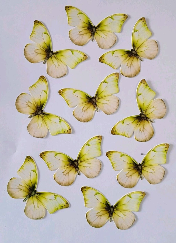 Non Edible Butterfly - Delight 71