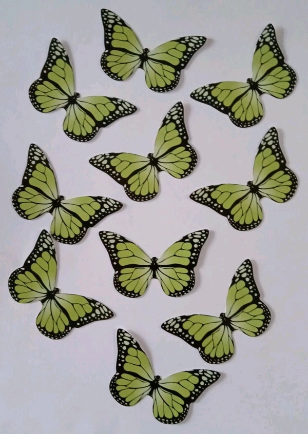 Non Edible Butterfly - Delight 73