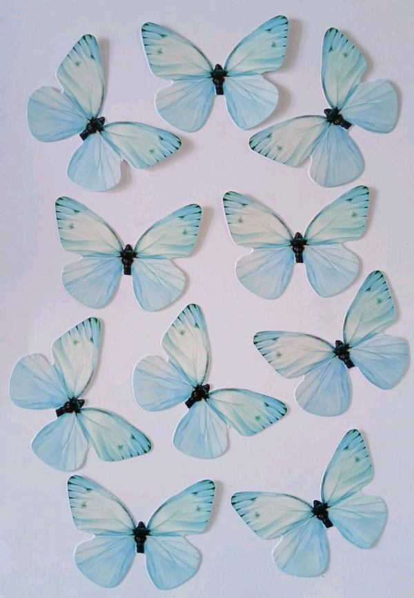 Non Edible Butterfly - Delight 75
