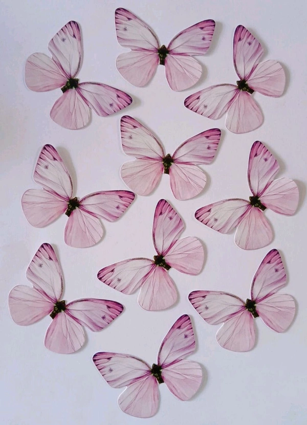 Non Edible Butterfly - Delight 77