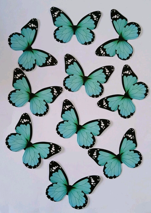 Non Edible Butterfly - Delight 79