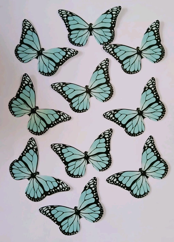 Non Edible Butterfly - Delight 81