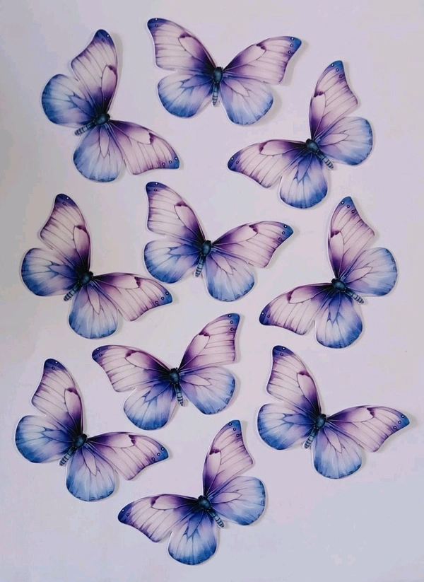Non Edible Butterfly - Delight 82