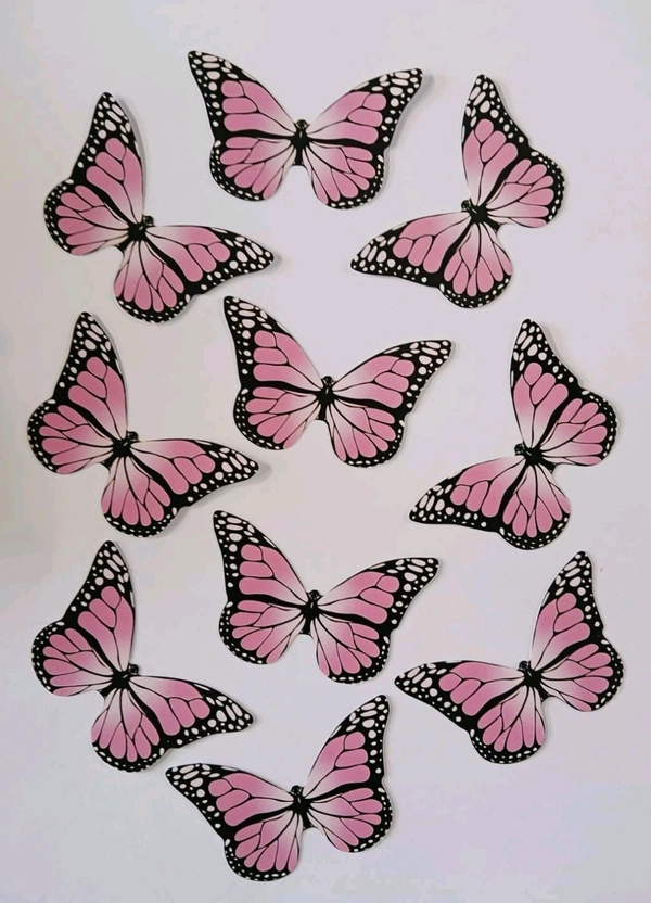 Non Edible Butterfly - Delight 83