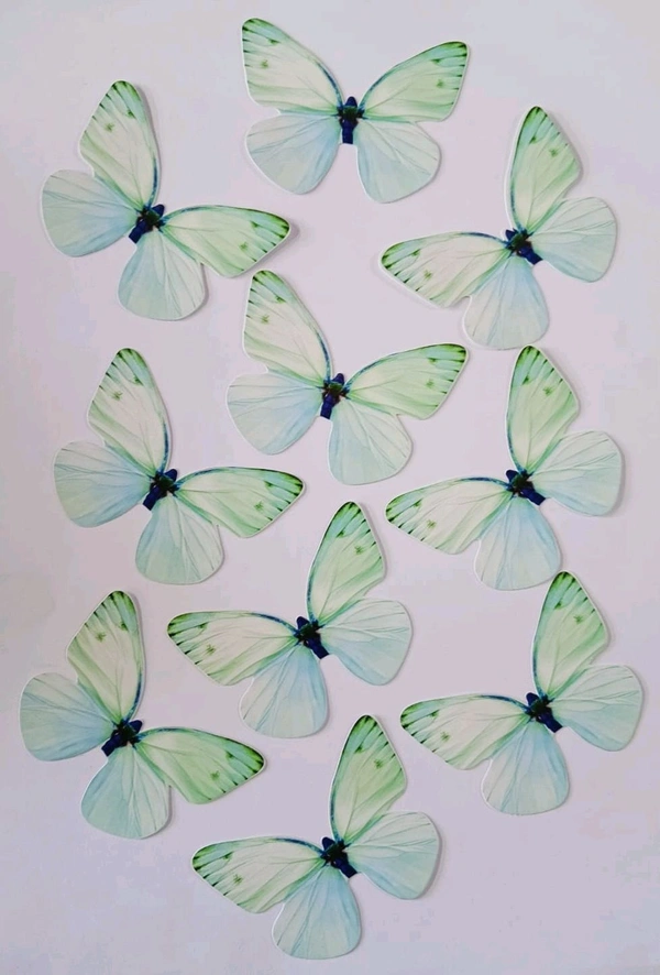 Non Edible Butterfly - Delight 84