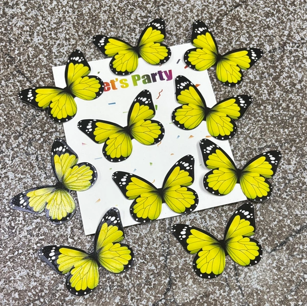 Non Edible Butterfly - Delight 85