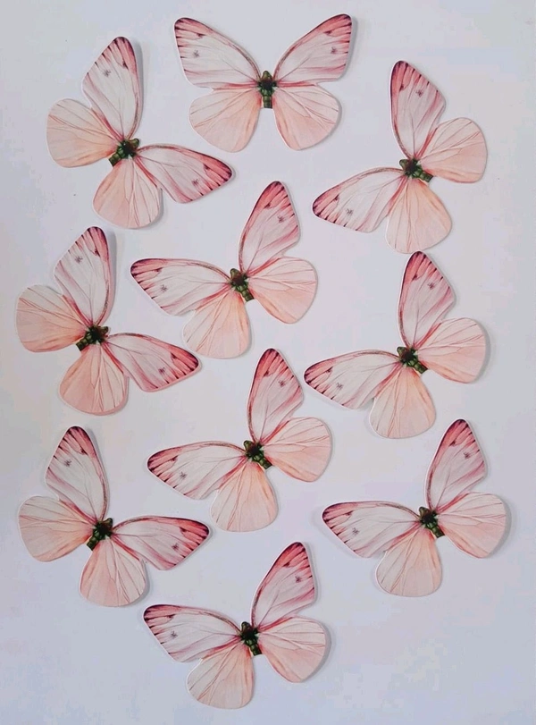 Non Edible Butterfly - Delight 87