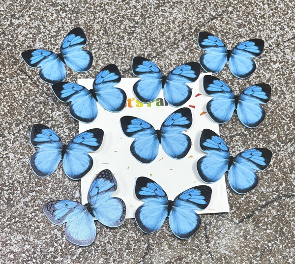Non Edible Butterfly - Delight 88