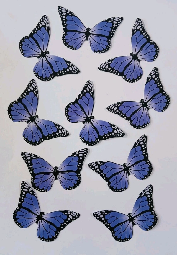 Non Edible Butterfly - Delight 91