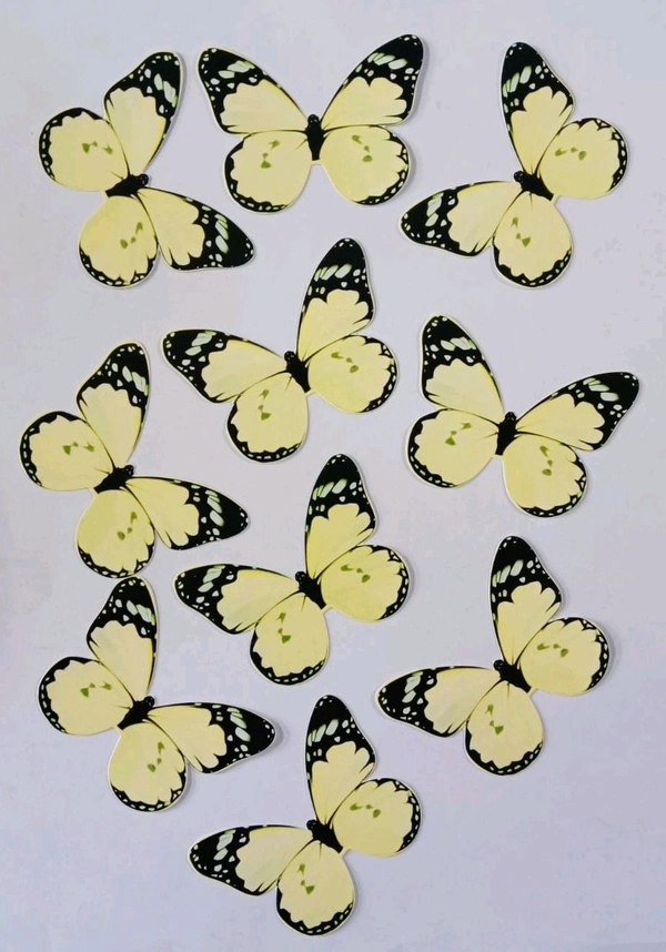 Non Edible Butterfly - Delight 94