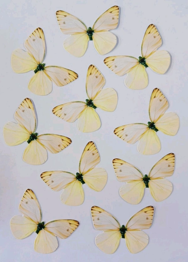 Non Edible Butterfly - Delight 96