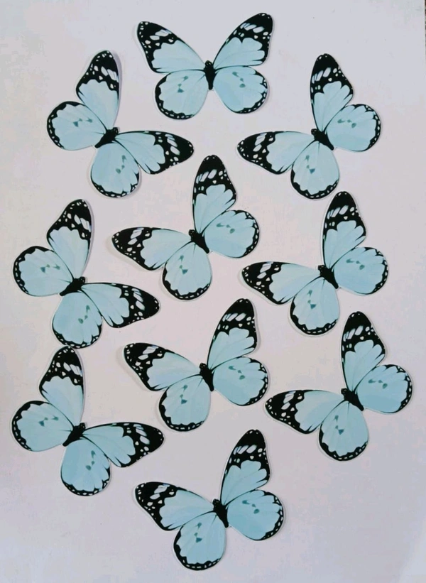 Non Edible Butterfly - Delight 99