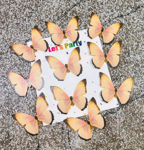 PAPER BUTTERFLY - Delight 27, 10 Pcs Pack