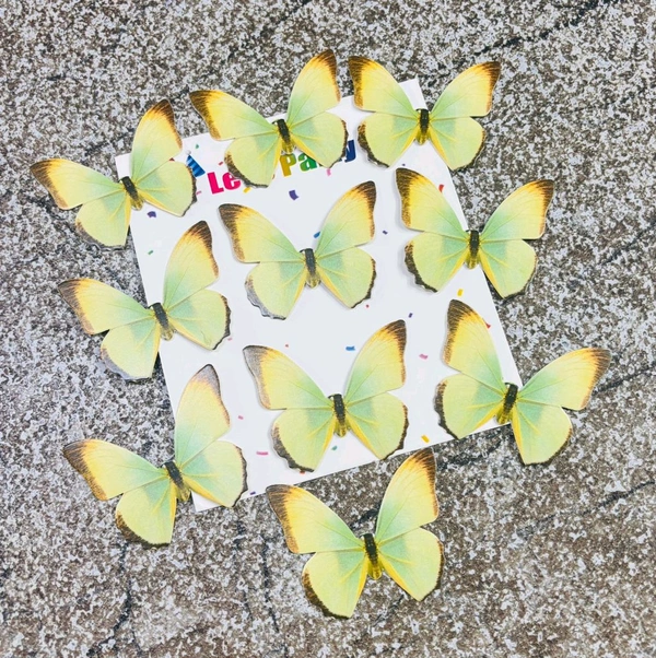 PAPER BUTTERFLY - Delight 33, 10 Pcs Pack