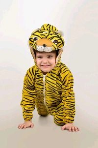 BookMyCostume Tiger Bagh Animal Kids Fancy Dress Costume | Indian 4-5 years