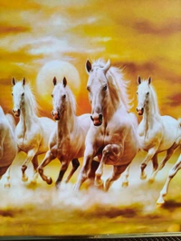 7 Horses Photo Frame 